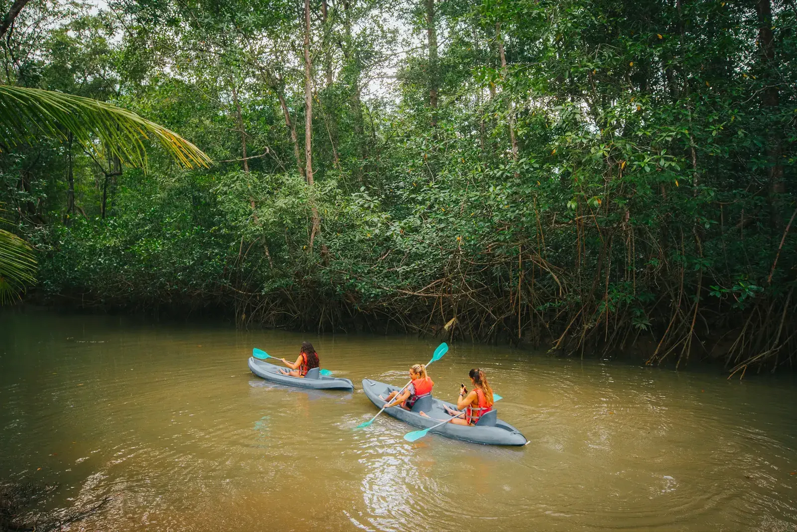 Two sit-on-top kayaks paddling a brown mangrove channel lined with trees