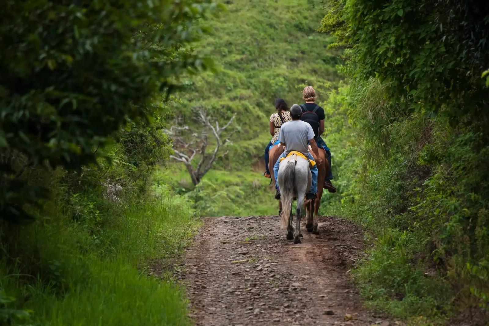 Two riders on horseback heading up a dirt trail between green hills