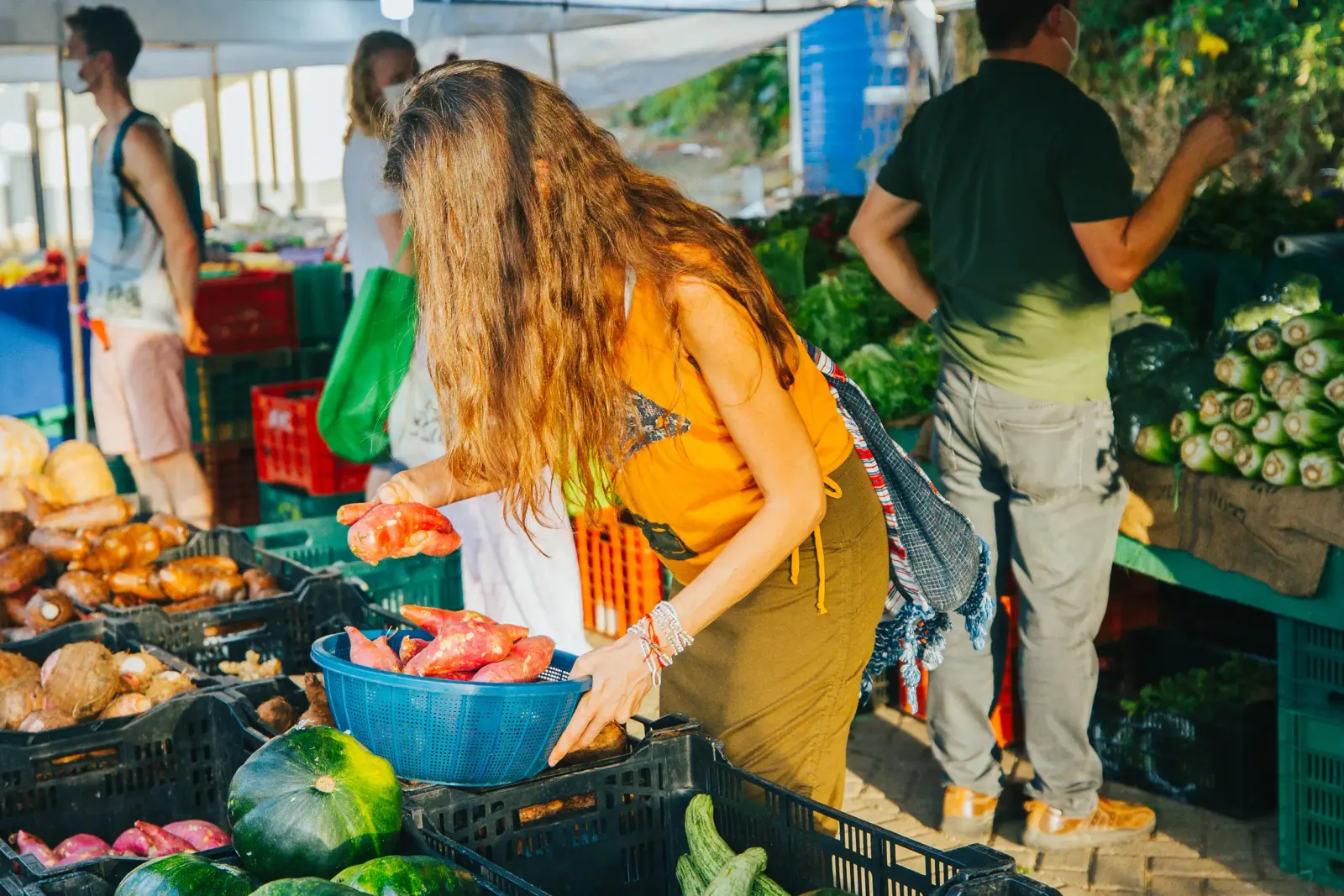 Shopper choosing sweet potatoes at a produce stall in an outdoor farmers market