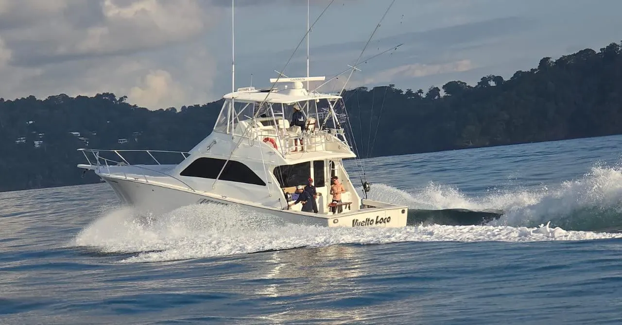 The Vuelto Loco, a white 45-foot Viking, running at speed past a forested headland